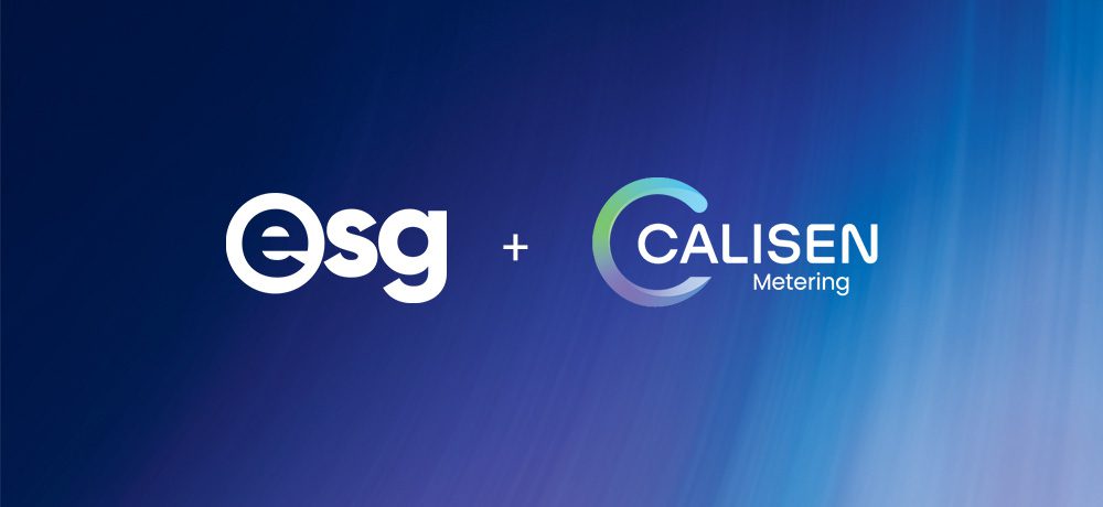 Case Study | Calisen