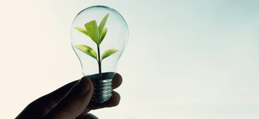 Image of a green plant growing inside a lightbulb.
