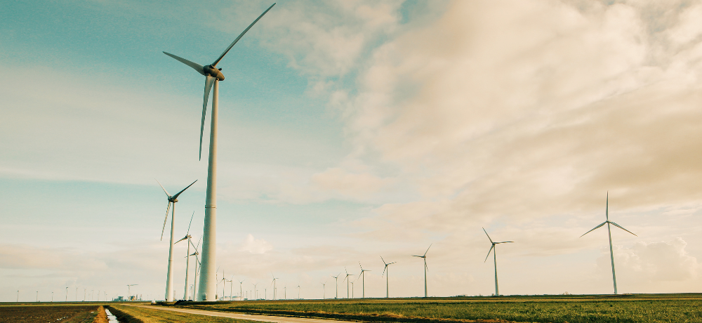Header image of a windfarm